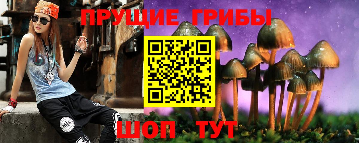 Кисловодск  Галлюциногенные грибы ЛСД  Вход с VPN 