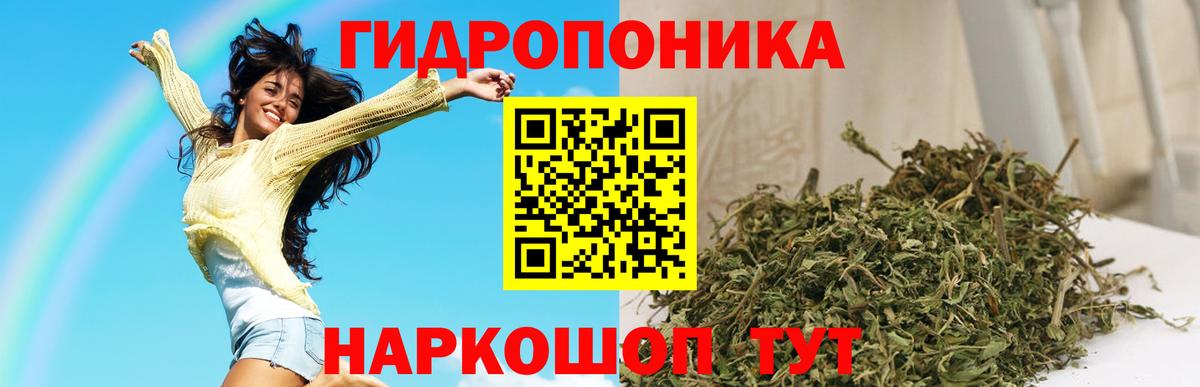 Каннабис сатива  Каннабис ГИДРОПОН  Вход с VPN  Марихуана тримм  Кисловодск 